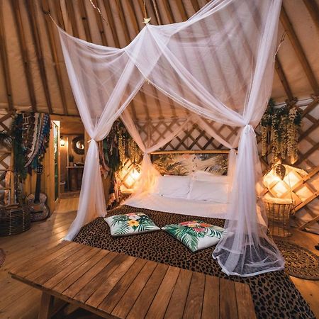 2 Cuori E 1 Yurta Glamping In Tuscany - Adults Only Asciano Exterior photo